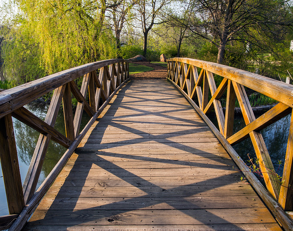 Daniel-Burnham-Bridge-2.jpg